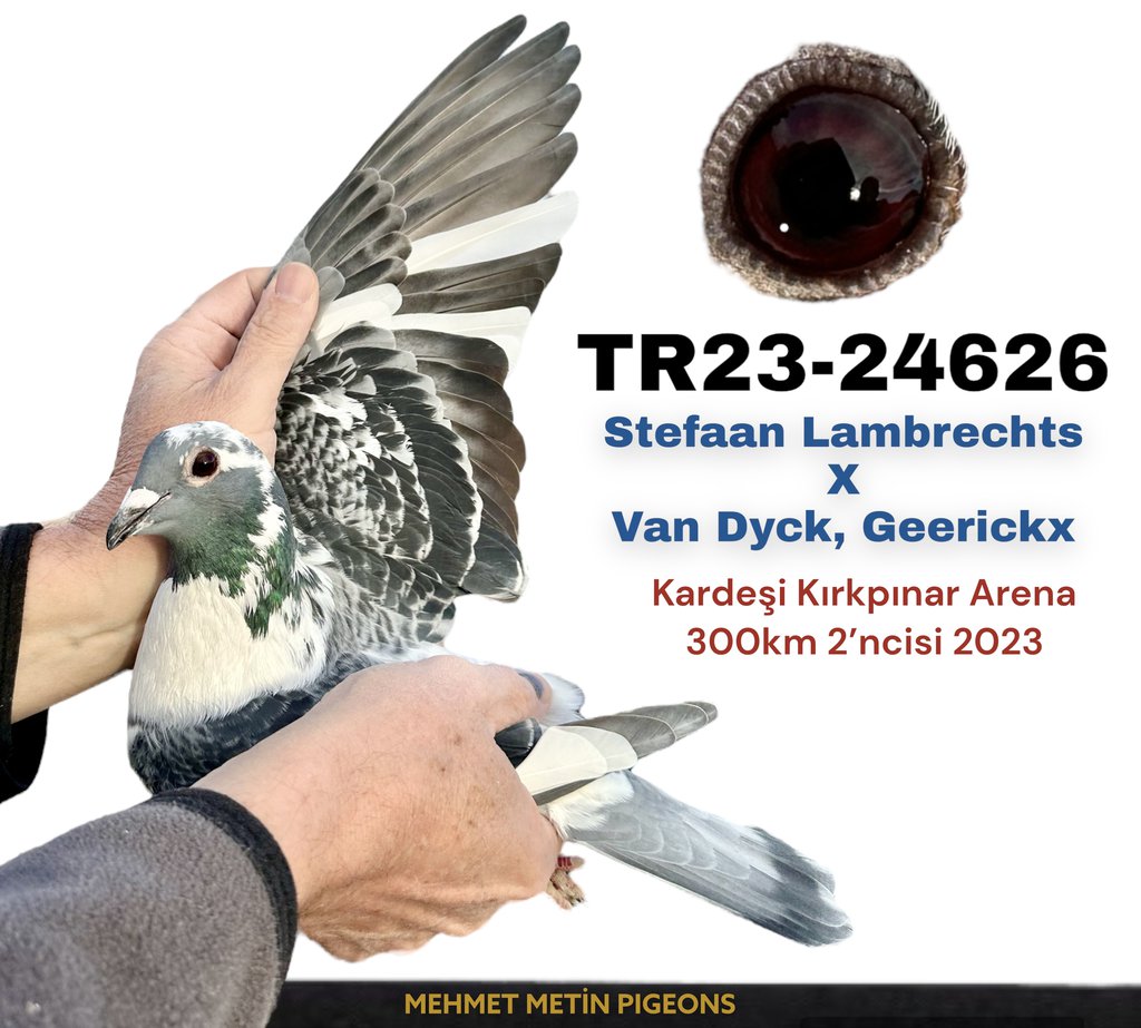 TR23-24626 626 Resmi