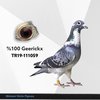 TR19-111059 Geerickx 59 Video