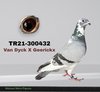 TR21-300432 432 Video