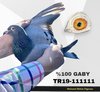 TR19-111111 gaby111 Video