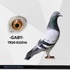 TR20-023316 Gaby 316 Video