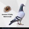 TR19-111139 Janssen Gaby 39 Video