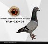 TR20-023403 ST403 Video