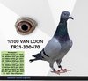 TR21-300470 LOON479 Video